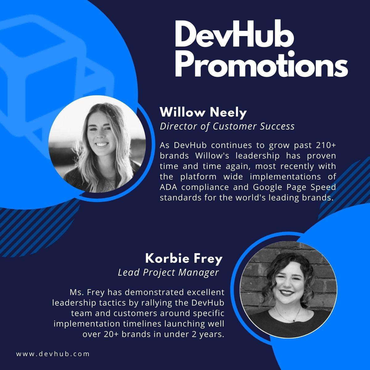 DevHub Promotions