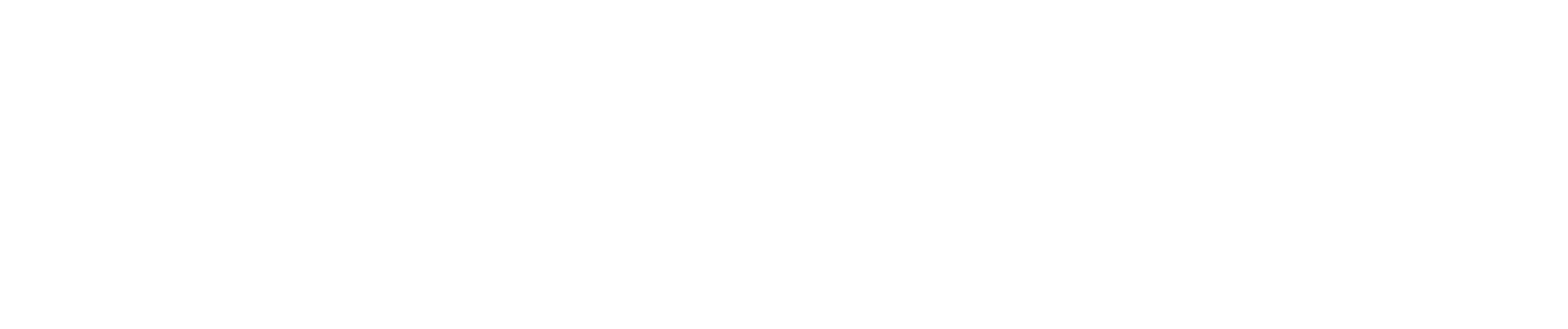 Consumer Fusion