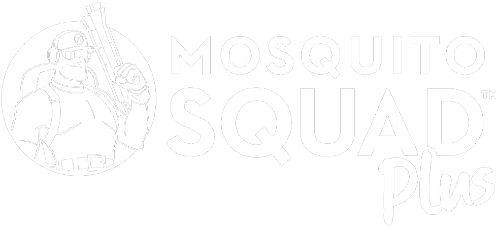 Mosquito Squad